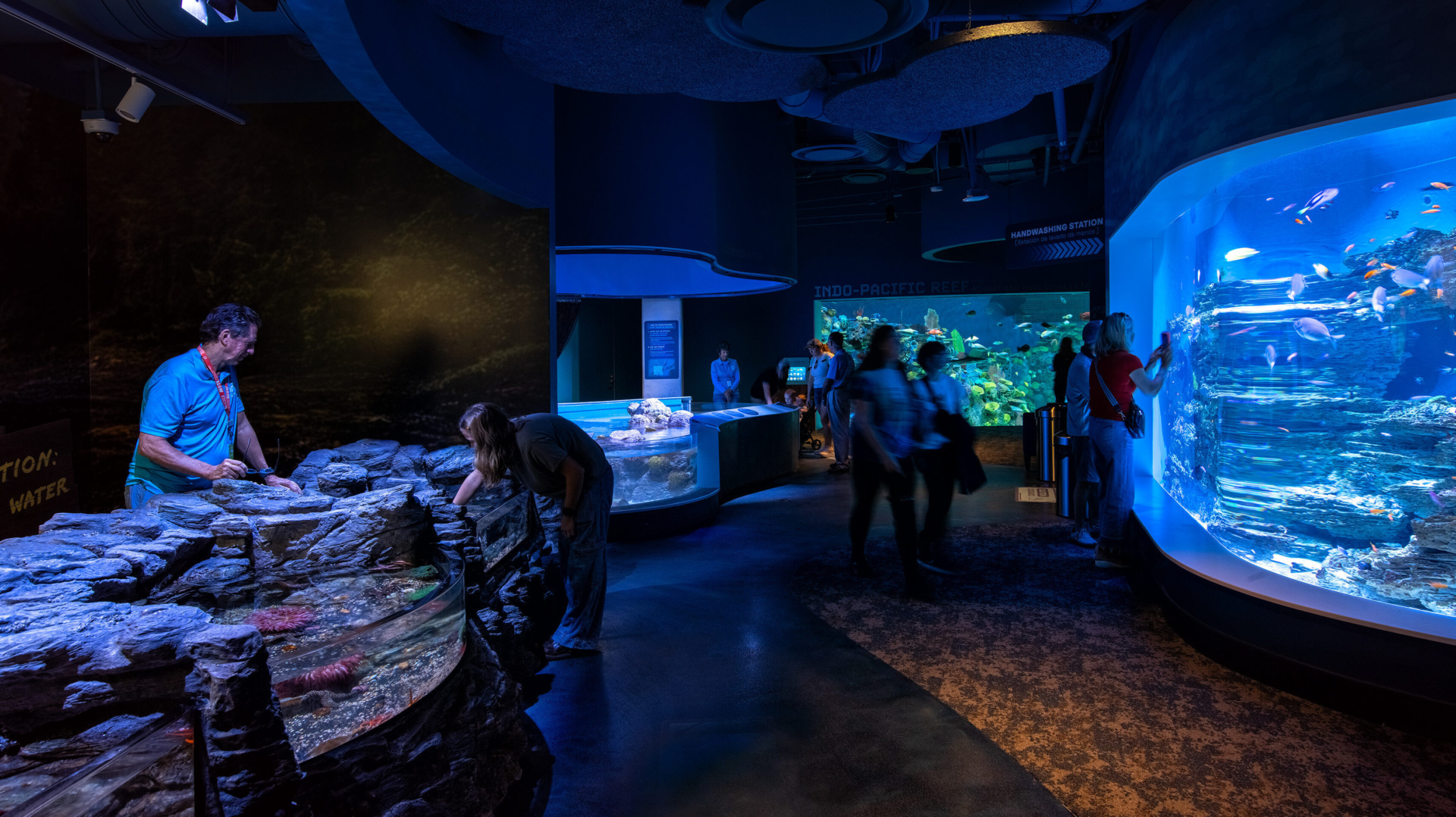 Mote Aquarium Roto Animal Habitat Tank Design